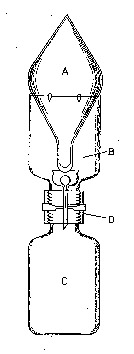 GCTC.jpg (15994 bytes)