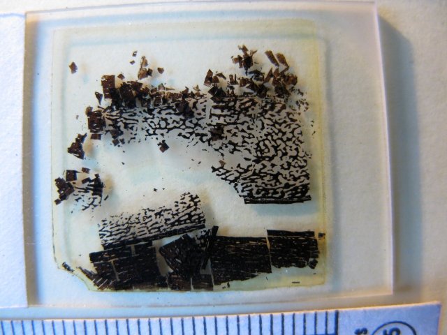 Thin section