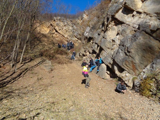 The Mušlovka Quarry: a fossil site, yielding especially brachiopods and nautiloid cephalopods Lom Mušlovka: naleziště zkamenělin, zejména schránek ramenonožců a nautiloidních hlavonožců