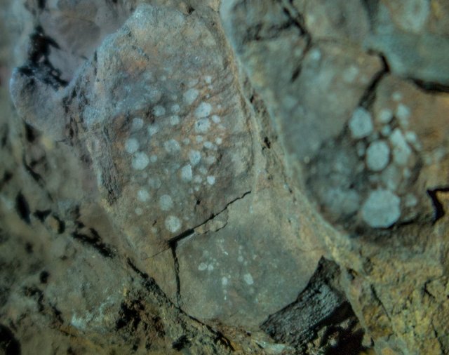 A thin bed of calcareous and ferruginous greywacke, Ordovician in age, represents the presumed iron Tenká poloha vápnité a železité droby ordovického stáří reprezentuje předpokládanou polohu železné r