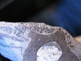 Cross section