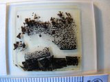 Thin section