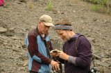 Determination of trace fossils