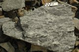 Rip-up clasts, Bělkovice Quarry