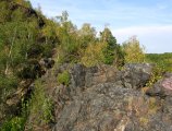 Origin of cherts in the Bohemian Massif