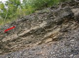 Nový mezinárodní stratotyp v paleozoiku Barrandienu