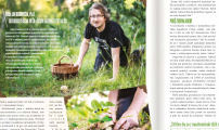 Naši pracovníci přispívají do tiskovin AV