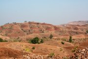 In the field (Central India)