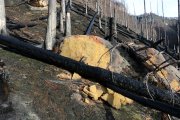 Do forest fires do any damage to sandstone cliffs?