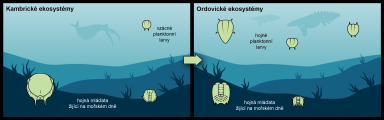 Planktonní larvy trilobitů byly součástí potravního řetězce