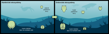 Planktic trilobite larvae as a part of the trophic chain