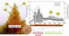 Larch tree rings: an archive of atmospheric Hg pollution